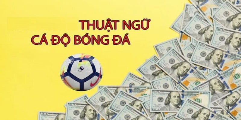 100+ thuật ngữ cá độ bóng đá: Cẩm nang cho người mới bắt đầu