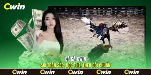 Đá Gà Cwin - Soi Trận Sắc, Đọc Thế, Theo Dõi Chuẩn