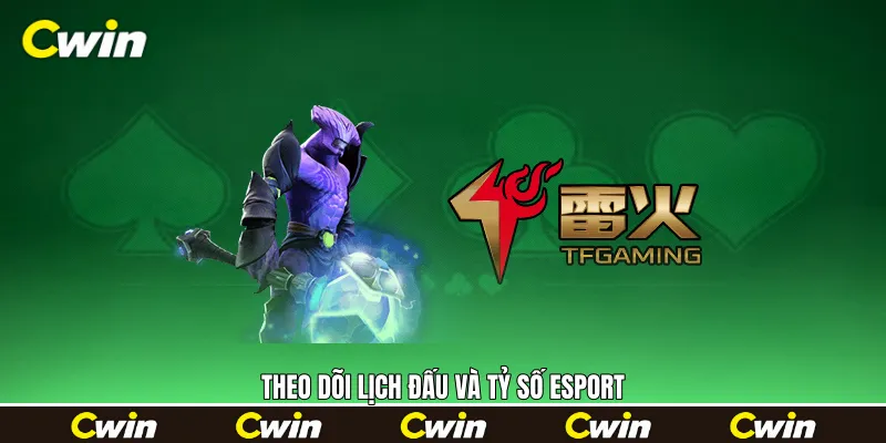 Theo dõi lịch đấu và tỷ số Esport